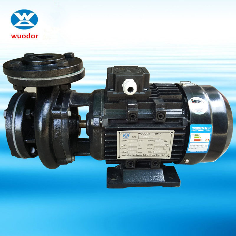 TS系列高温导热油泵 循环加压泵