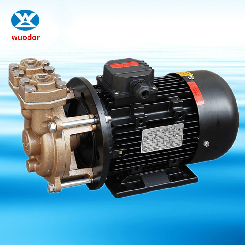 WD系列蒸汽发生器泵 高温热水循环泵