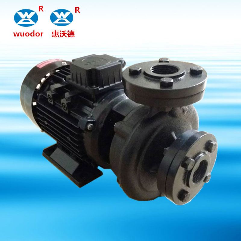 TS系列卧式直连高温泵 热油热水泵