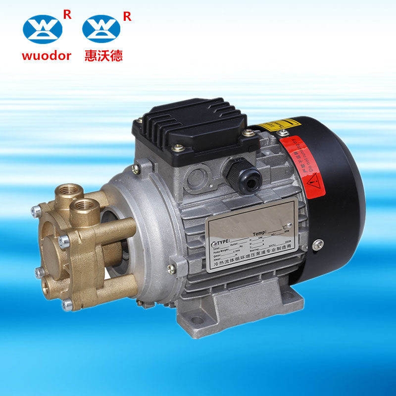 蒸汽发生器专用高温热水泵