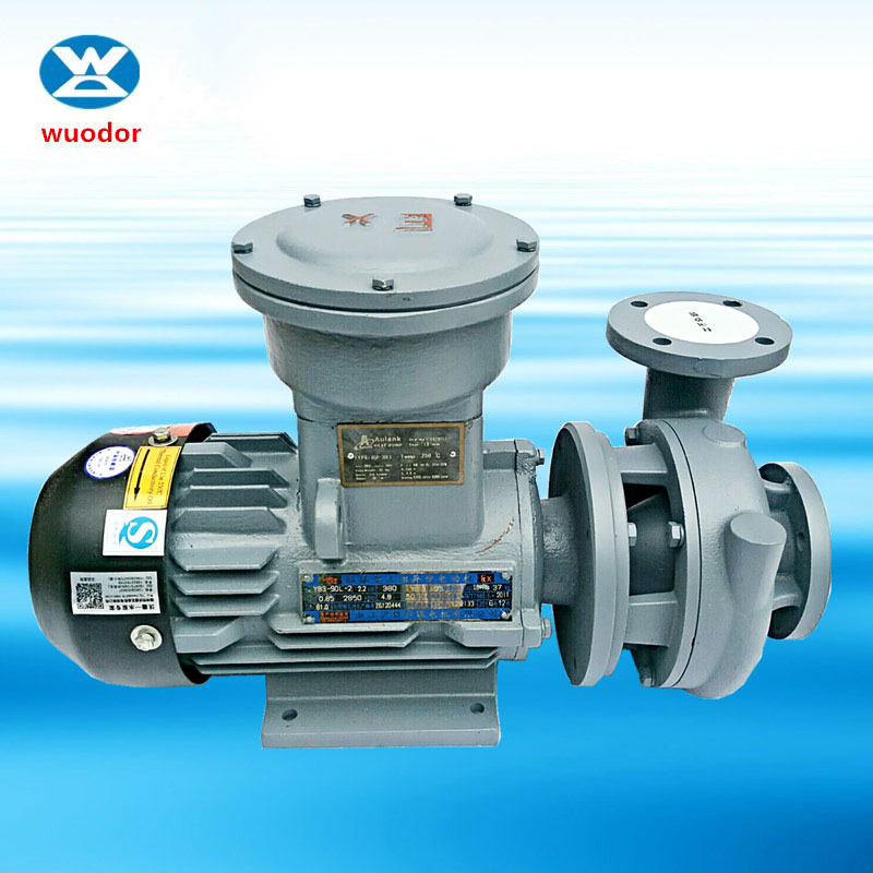 WGZ-EX系列卧式防爆高温油泵 防爆款高温热水泵