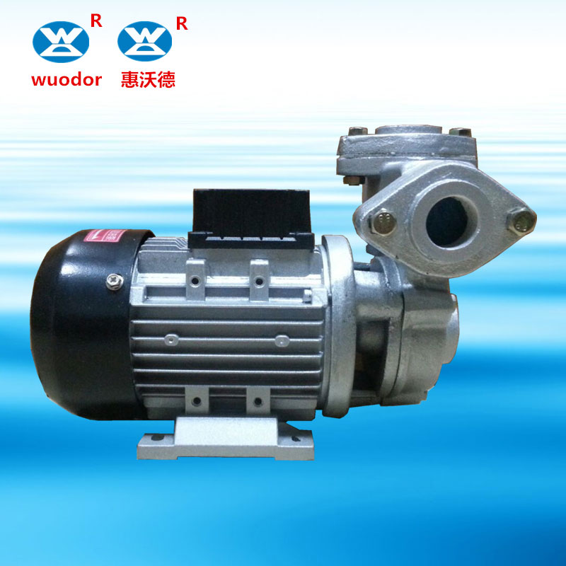 TS系列齿轮油泵 模温机热水泵 循环高温泵