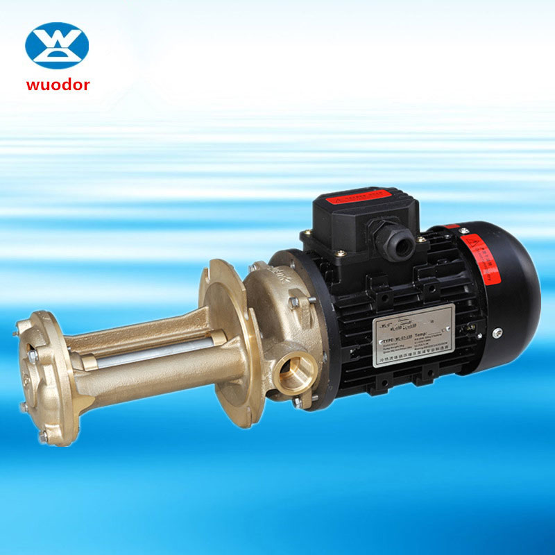 WL系列橡塑射出泵 机床高温油泵 实验设备高温热水循环泵